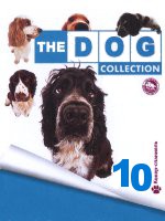 The Dog collection № 10 : Кокер-спаниель