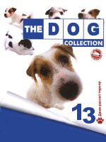 The Dog collection № 13 : Джек-рассел терьер