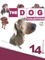 The Dog collection № 14 : Веймаранер