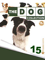 The Dog collection № 15 : Бордер-колли