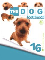 The Dog collection № 16 : Норфолкский терьер