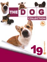 The Dog collection № 19 : Вельш-корги