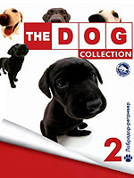 The Dog collection № 2 : Лабрадор-ретривер