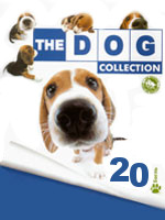 The Dog collection № 20 : Бигль