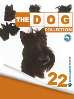 The Dog collection № 22 : Шотландский терьер