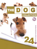 The Dog collection № 24 : Жесткошерстный фокстерьер