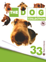 The Dog collection № 33 : Эрдельтерьер