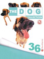 The Dog collection № 36 : Леонбергер