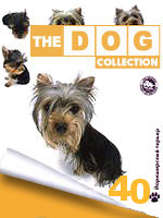 The Dog collection № 40 : Йоркширский терьер