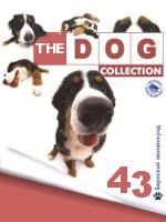 The Dog collection № 43 : Бернский зенненхунд