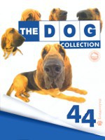 The Dog collection № 44 : Бладхаунд