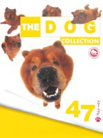 The Dog collection № 47 : Чау-чау