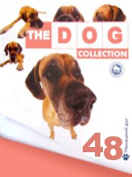 The Dog collection № 48 : Немецкий дог