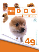 The Dog collection № 49 : Померанский шпиц