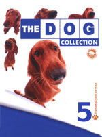 The Dog collection № 5 : Ирландский сеттер