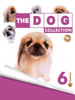 The Dog collection № 6 : Пекинес